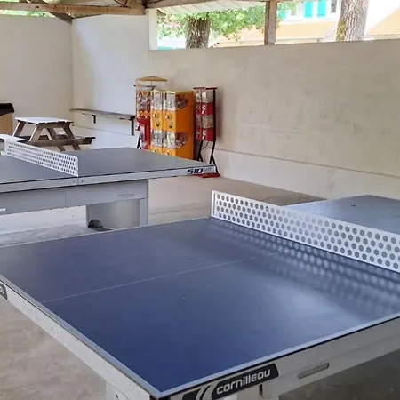 Mobil-home 3 Avec Terrasse A - Api-1-52-1293